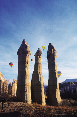 12437799_21n.jpg