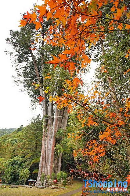 MN11_011.jpg