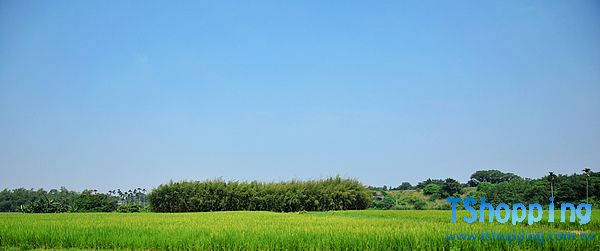 T2012121420004.jpg