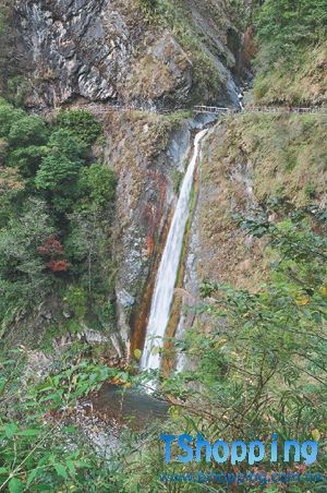 f_57552_1.jpg