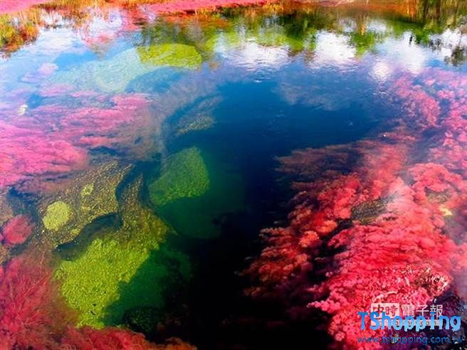 絕美！ 全球最夢幻五色彩虹湖