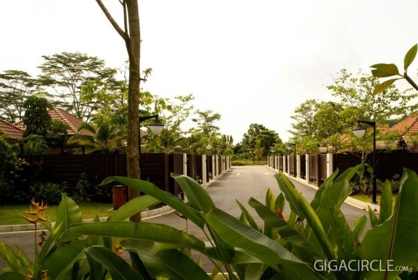 53689de5ac637.jpg