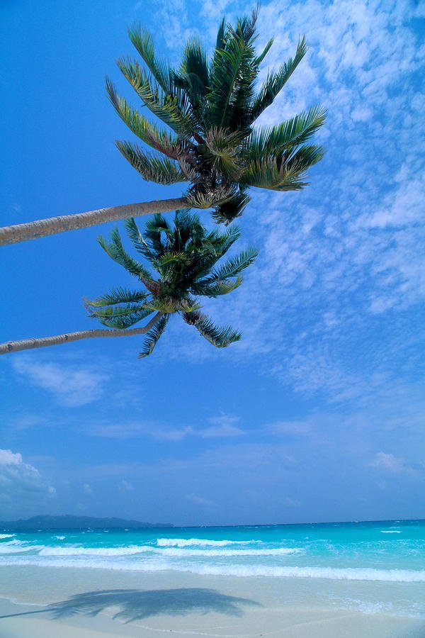 s4_5404c10325400.jpg
