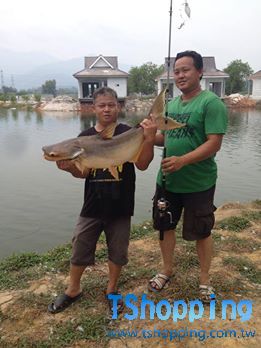 s2_53db356f56740.jpg