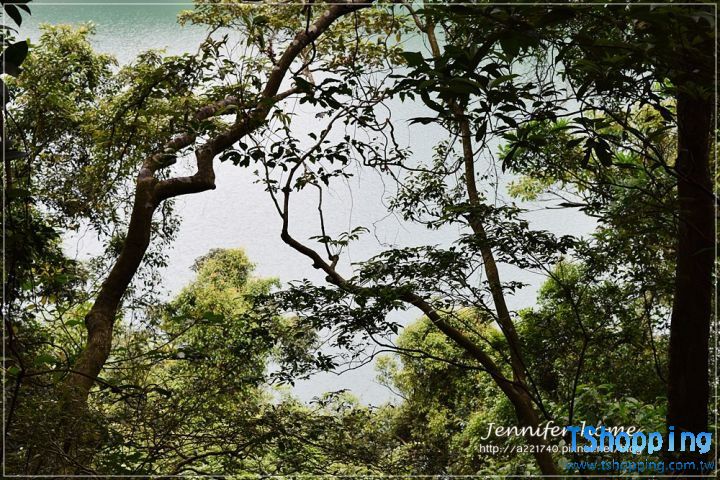 s1_53941bb268c7d.jpg
