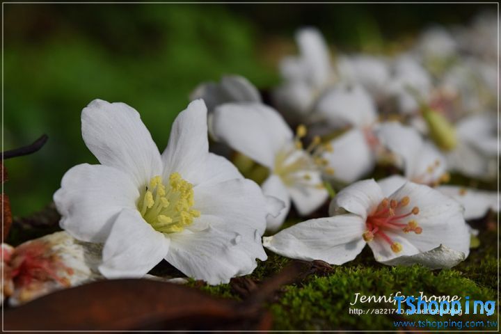 s1_53941bb1bcc5f.jpg