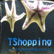 s2_53fd67cc99cbc.jpg