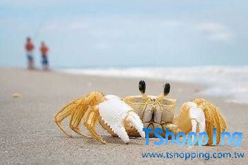 s2_53bcdf75760d1.jpg