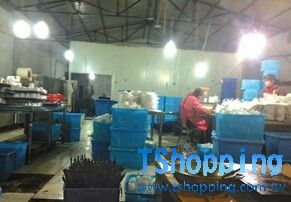 231848brxsdi9rpqpdqryw.jpg