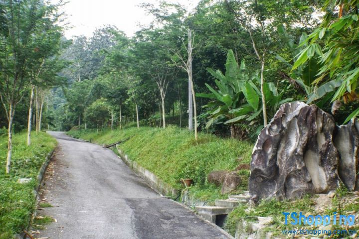 s2_53ecc78d10be4.jpg