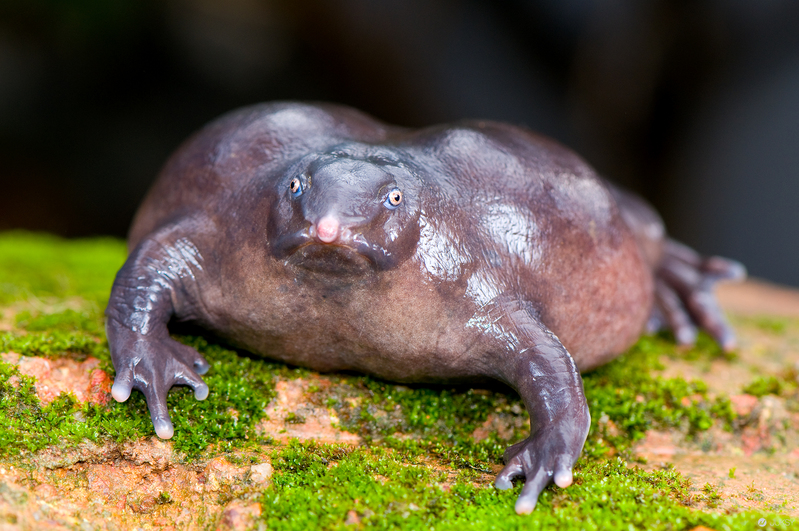 20150601133823_79331.jpg