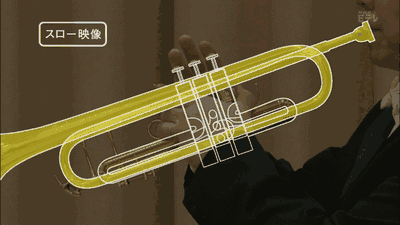 23.gif