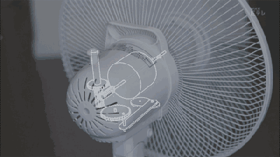 24.gif