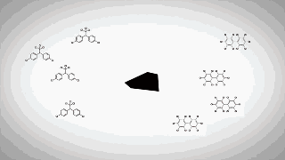 8.gif