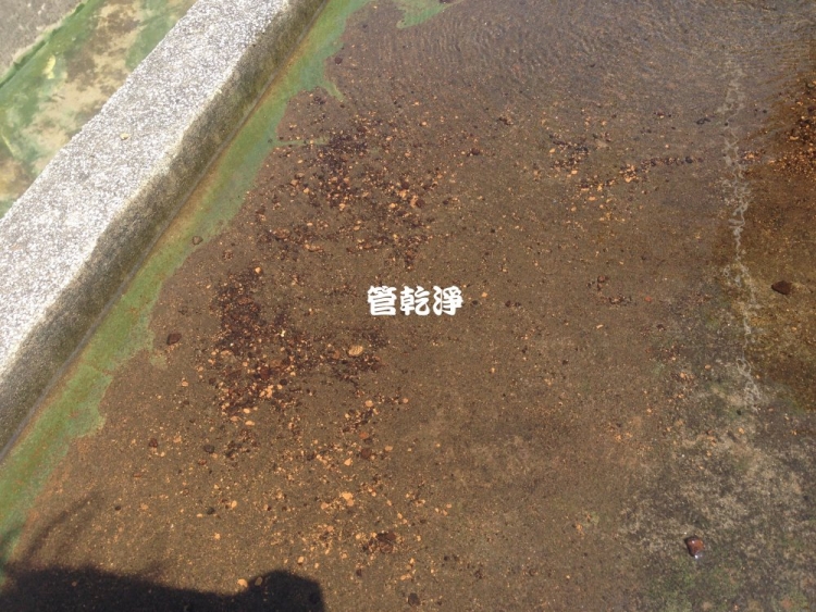 tatochang01.jpg
