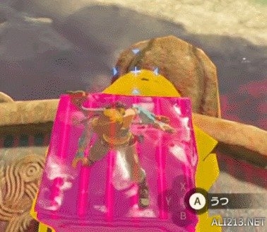 2.jpg