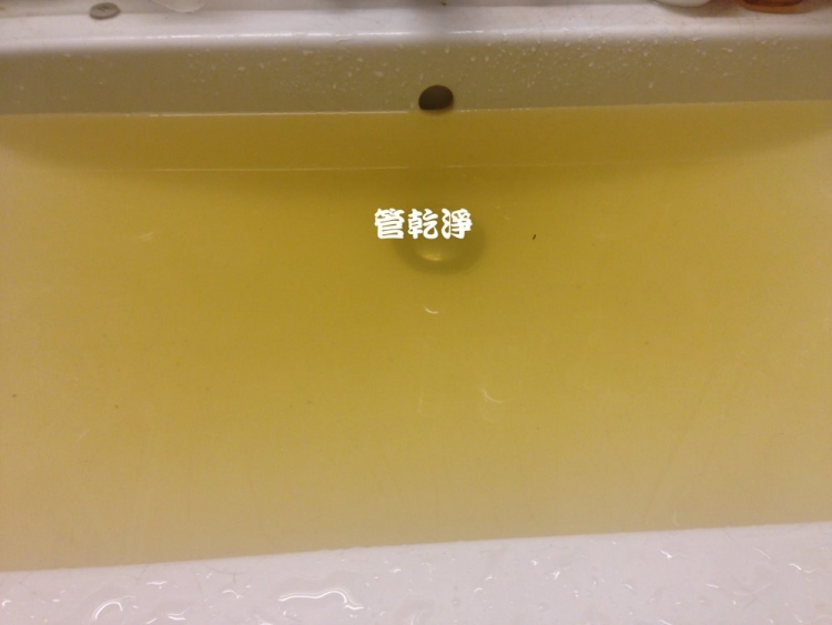 shinnorthx002.jpg