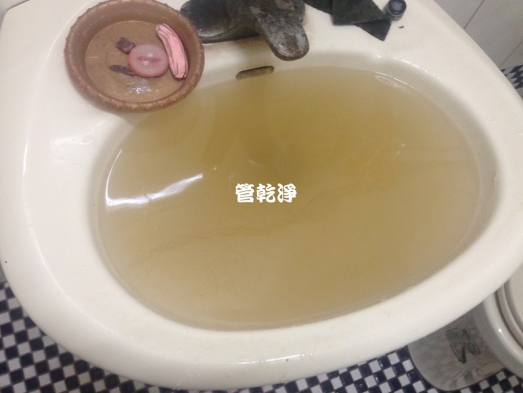 shinstrongnew001.jpg