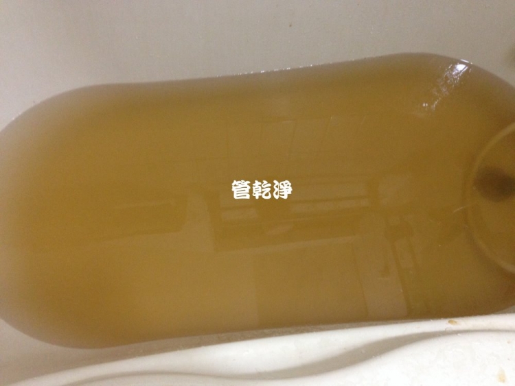 shinchuhave002.jpg