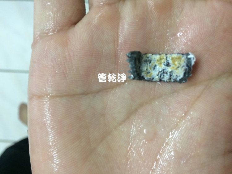 hsinchueastming002.jpg