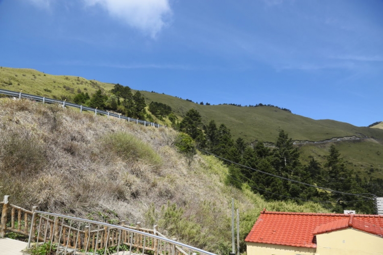 合歡山 武陵農場