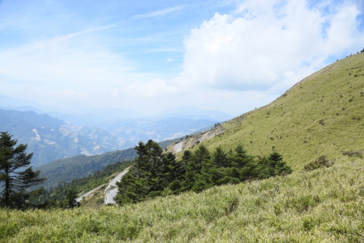 合歡山 武陵農場