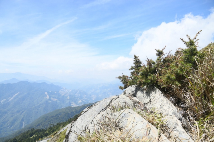 合歡山 武陵農場