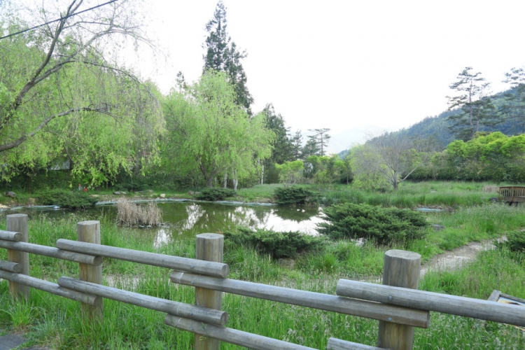 合歡山 武陵農場