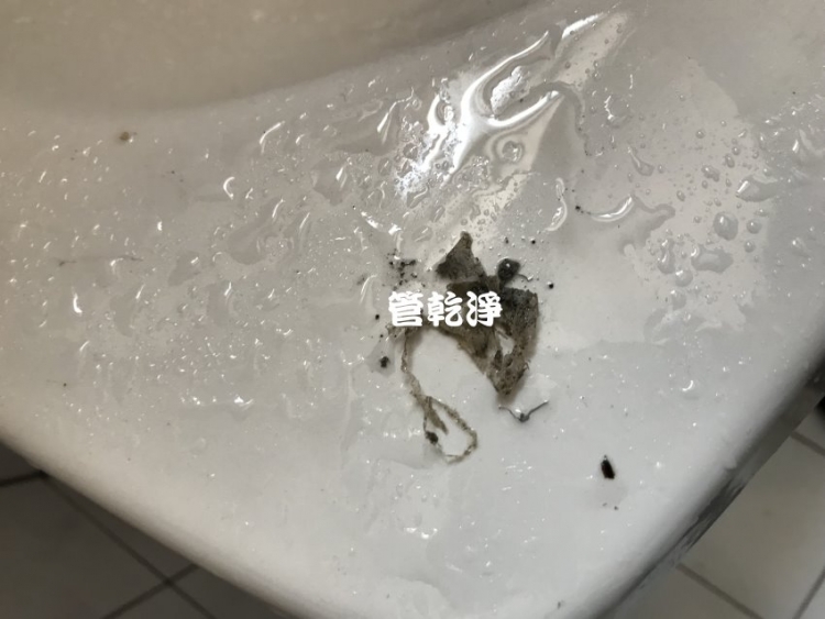 清洗水管, 水管清洗, 管乾淨