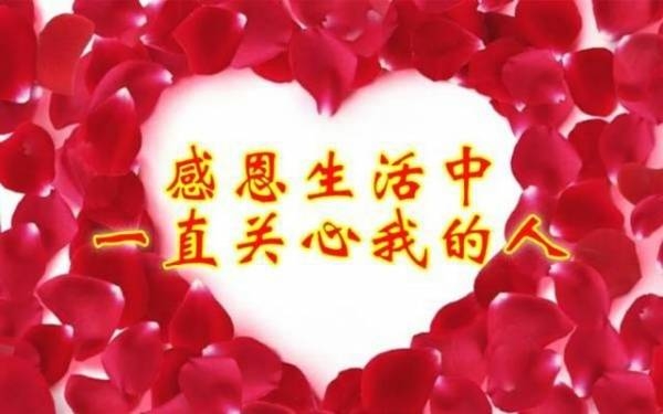 感情 坦誠 真心 感情 落魄