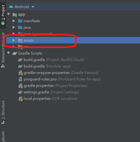 Android Studio assets copy java