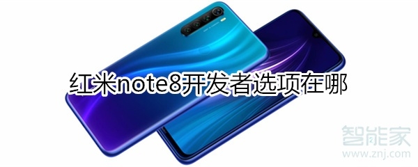 紅米 note8 開發者選項