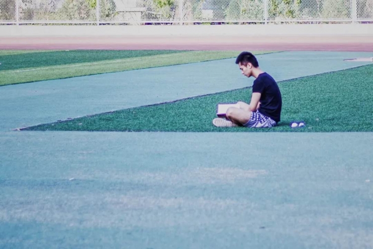 聰明人 懶螞蟻效應 人生 思考 勤奮