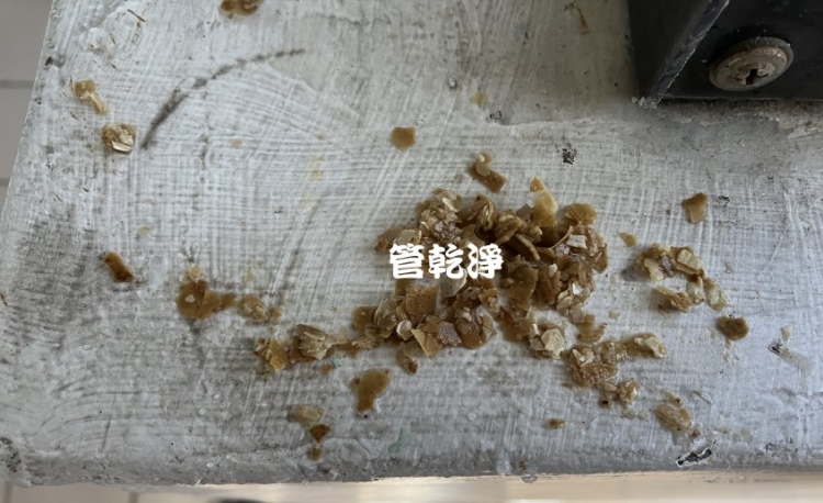 洗水管 水管流出燕麥... 桃園 八德 陸光街 洗水管