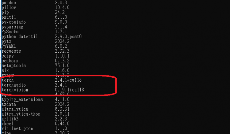python torch cuda