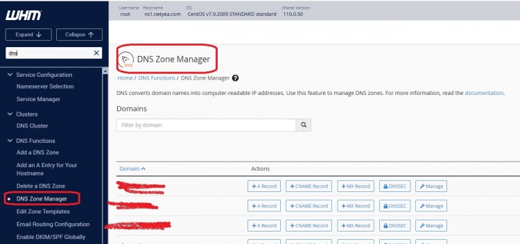 CPanel Transfer Tool susoension dns