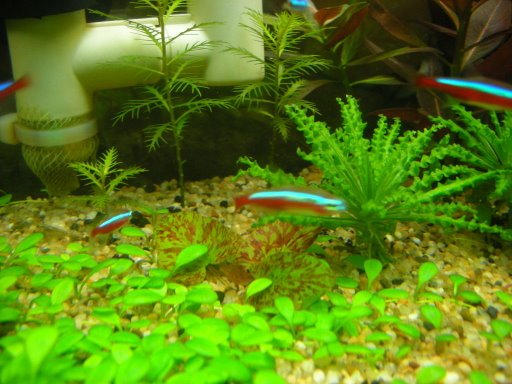 DSCN7038.JPG