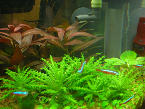 DSCN7037.JPG