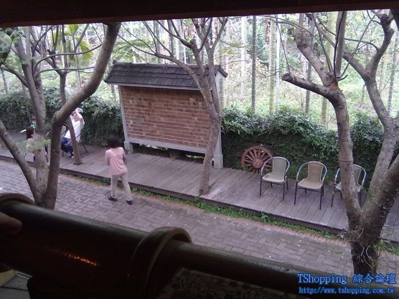 20110320088.jpg