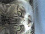 DSC00433.JPG