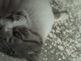 DSC00435.JPG