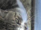 DSC00432.JPG