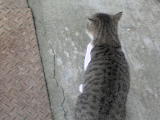 DSC00430.JPG