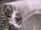 DSC00508.JPG
