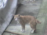 DSC00511.JPG