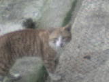 DSC00513.JPG