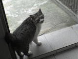 DSC00503.JPG