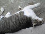DSC00507.JPG