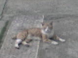 DSC00514.JPG