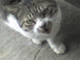 DSC00504.JPG